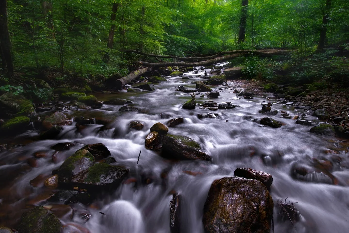 Smooth Waters 🏞⁣
-⁣⁣⁣
#lessnipezphotography #ig_killerz #classifiedmind #illgrammers  #sunsets #sunset #travel #travelphotography #travelgram #travelblogger #traveling #forest #forestphotography #georgia #hiawassee #hiawasseega #hiawasseesunset #cha
