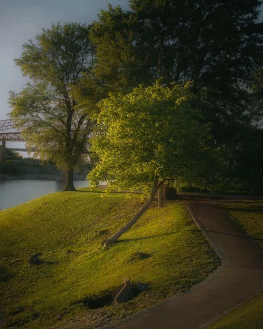 Mystical 🌳⁣
-⁣
For the first time since rhis pandemic hit, I decided to get out in downtown Memphis yesterday. I was honestly surprised as to how many ppl I came across even though this virus has been hitting us. Since I live on the outskirts of Mem