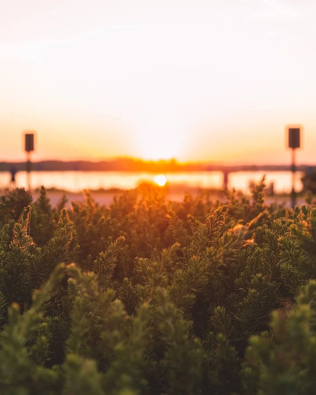 Hey Google, play &quot;Feels Like Summer&quot; by @childishgambino ⁣
⁣
-⁣⁣
#lessnipezphotography #ig_killerz #classifiedmind #illgrammers #memphis #memphisphotography #memphissunset #memphissunsets #sunsets #sunset #travel #travelphotography #travelg