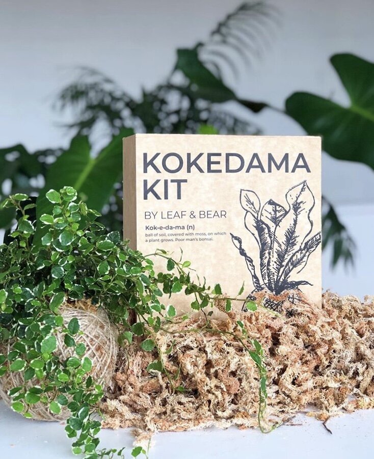 Kokedama Packaging