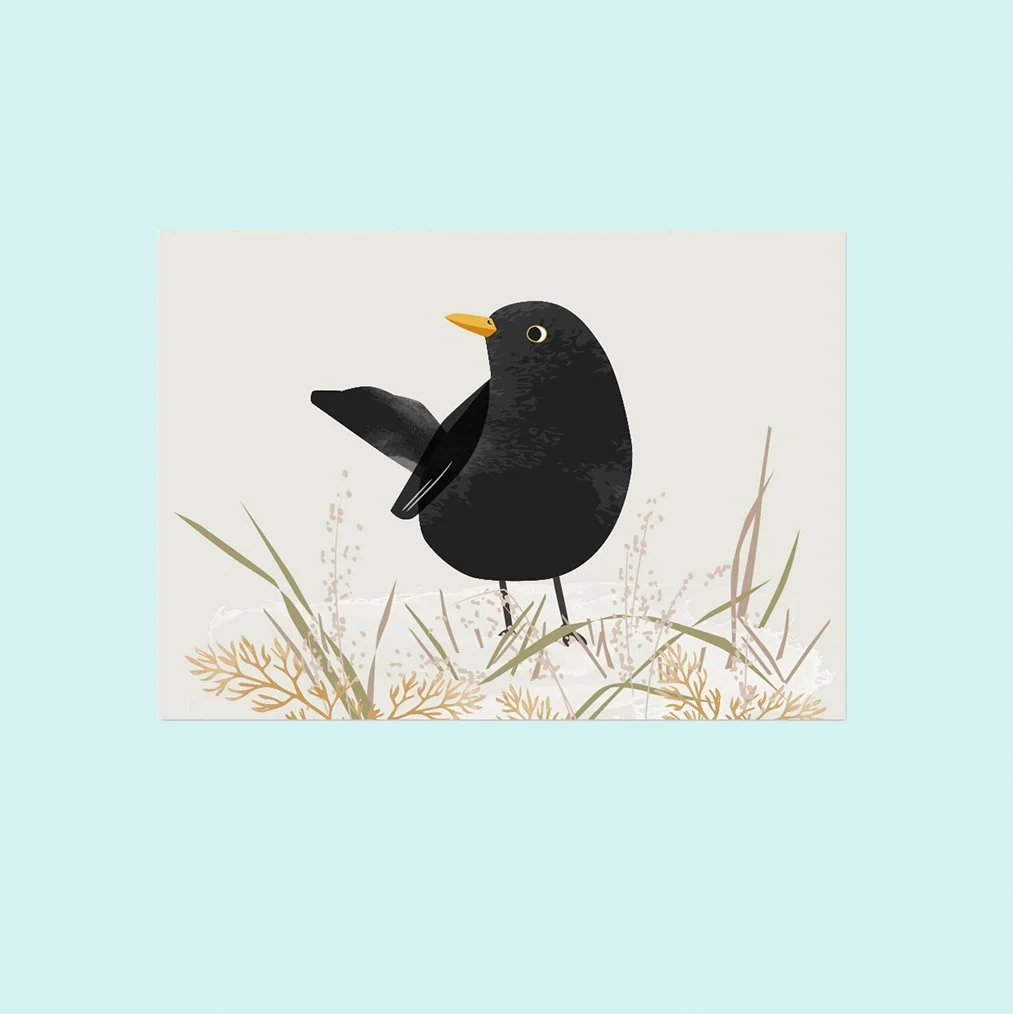 ©little-shop-of-nature-pk-amsel.jpg