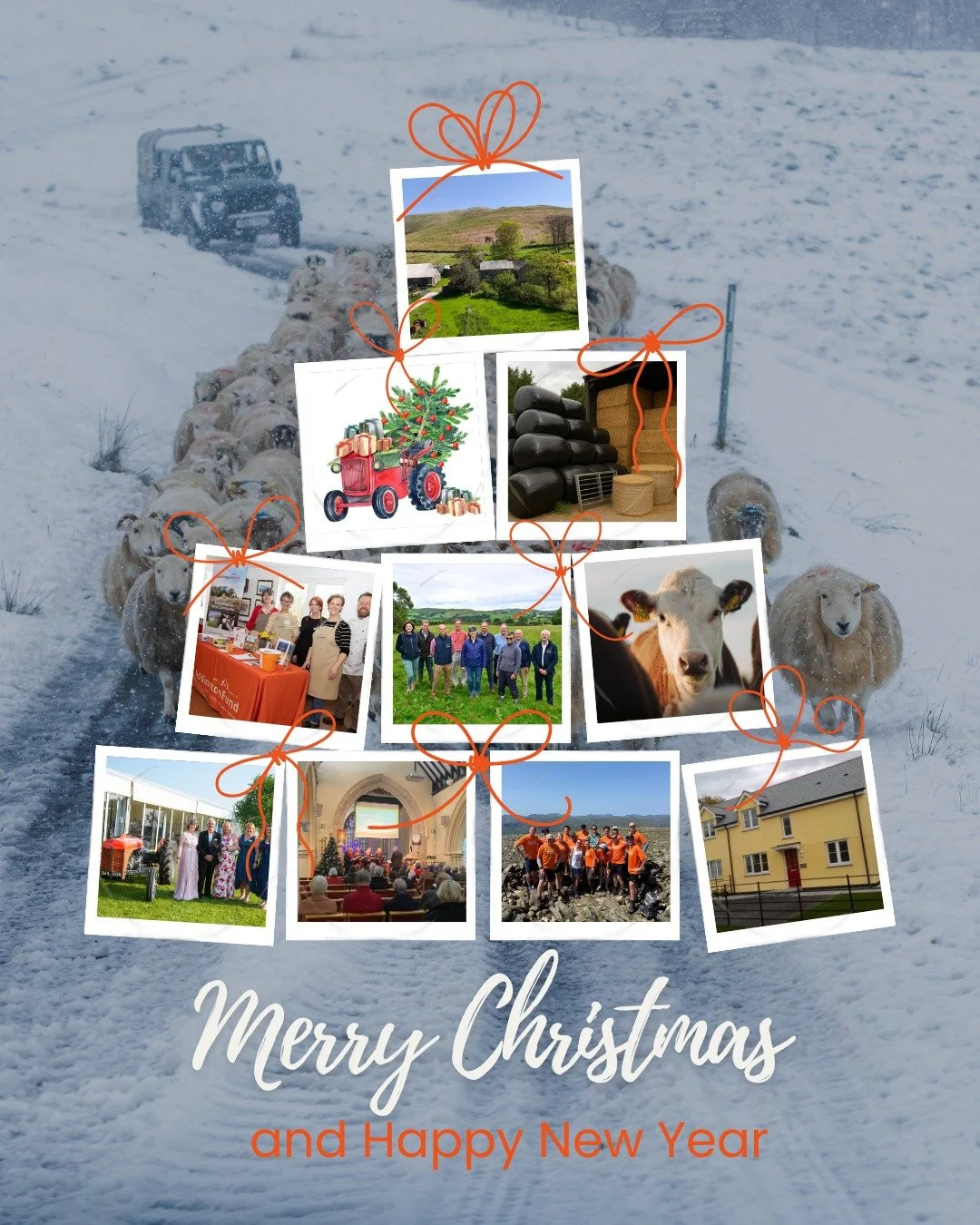 🎄 Merry Christmas and a Happy New Year!

As we look back on 2025, it&rsquo;s been quite a year for Addington Fund:

🚜 Supporting farmers through an exceptionally dry summer
🌄 Buying our first farm
🏆 Celebrating the farming community through our F