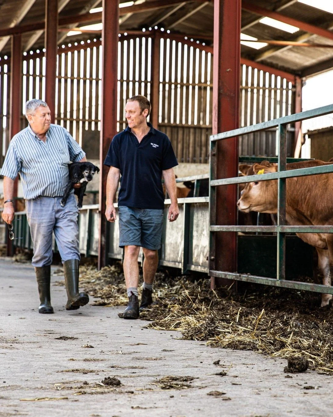Today we are at Dairy-Tech UK 🐄

We are all set up on stand P28 in Hall 3 and looking forward to seeing lots of new and familiar faces.

Make sure you stop by and chat to one of the team about all the ways that Addington Fund helps the farming commu