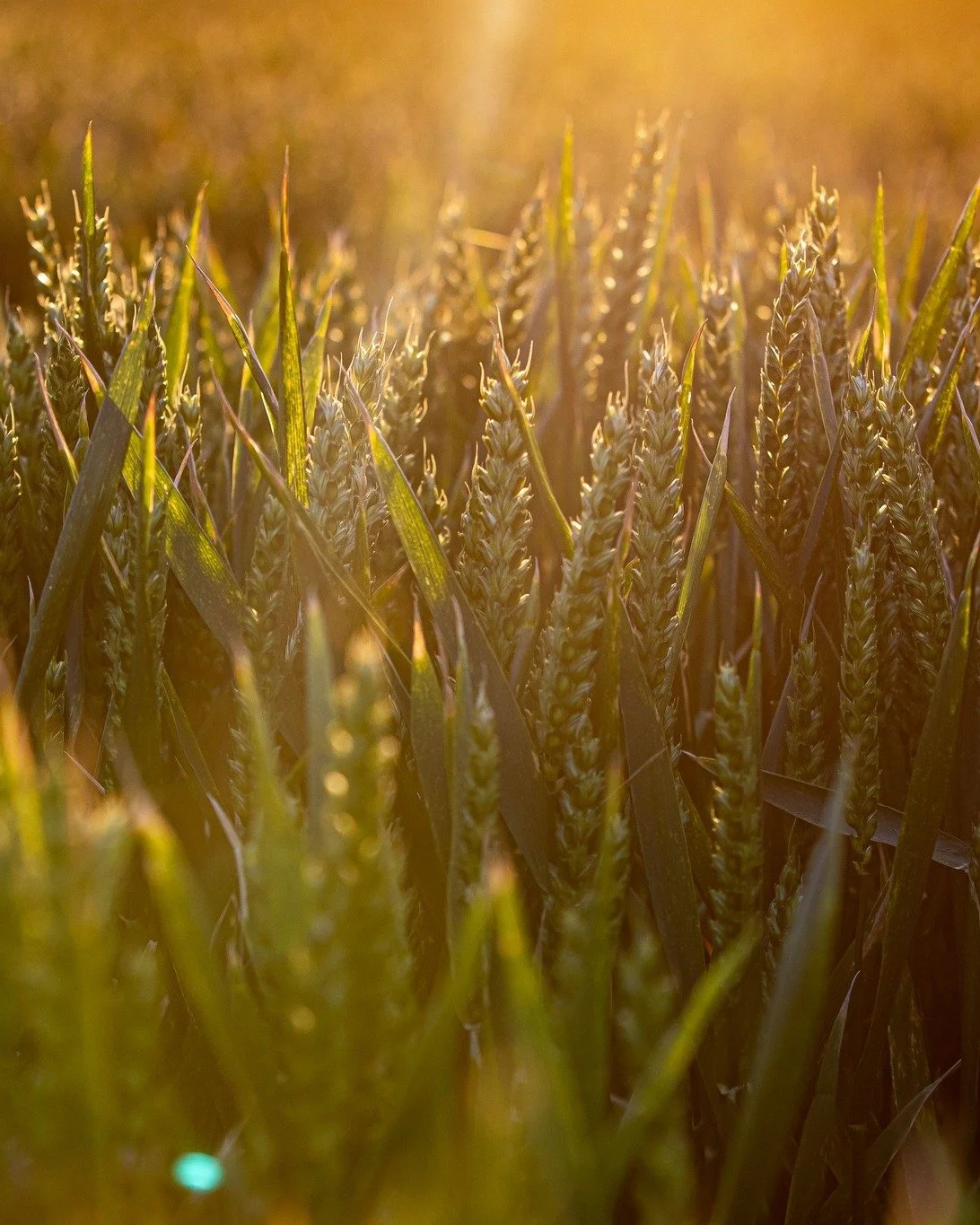 Addington Fund 25 Years On 

As we mark our 25th year, we are reflecting on our roots and acknowledging that we are here today because of the seeds sown throughout the past quarter-century. 🌾

Click the link in our bio to read more from our latest b