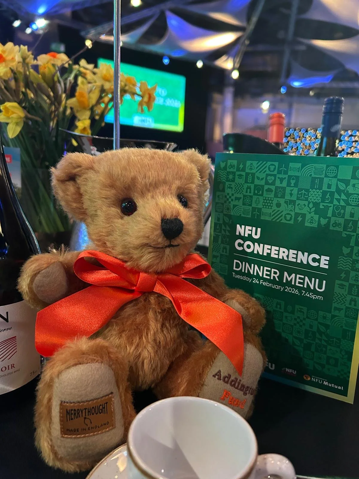 WhatsApp Image 2026-02-25 at 12.43.11.jpeg