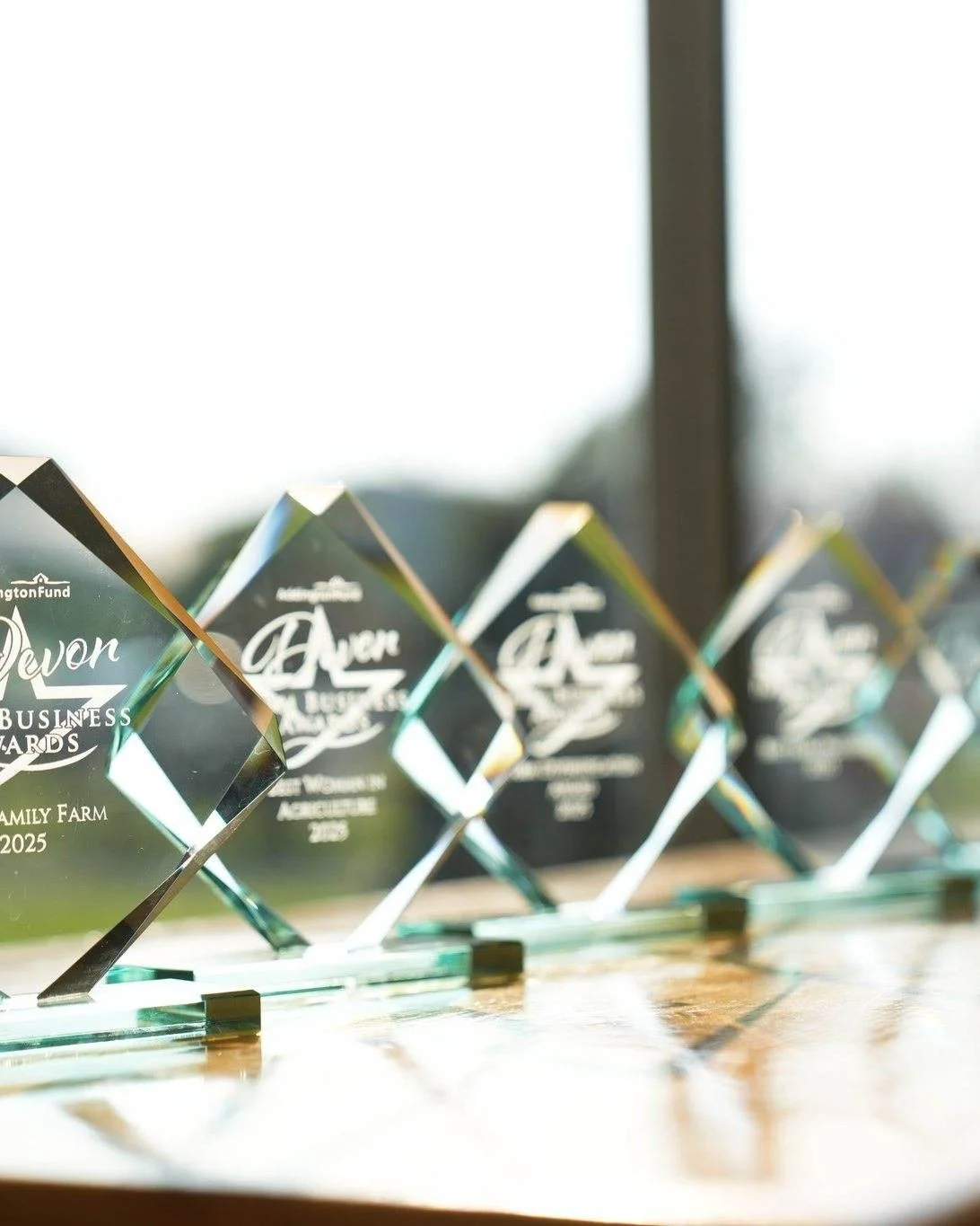 ✨There's still time to be part of our Devon Farm Business Awards celebrating agricultural successes whilst raising vital funds for Addington Fund 🚜

🧸 Donate an auction prize
🏆 Sponsor an award category
🎟️ Buy a ticket

👉Click the link in our bi