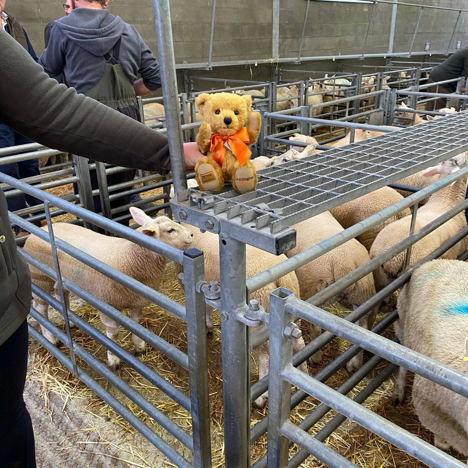 May Round Up 💫

We've had a busy time this month from our much anticipated Devon Farm Business Awards and the Devon County Show to our Whins Open Day, Beef Expo and the Butty Van!

🧡 Butty Van, Wellesbourne
🧡 Devon Farm Business Awards
🧡 Devon Co