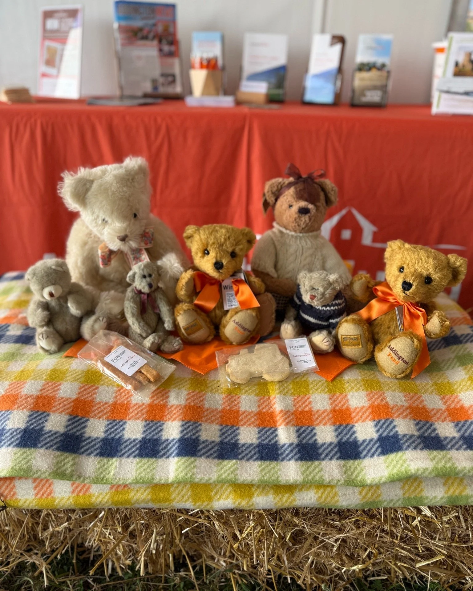 🧸🧺🐻 Hip, hip, hooray, it's Teddy Bear's Picnic Day! 🥪🍰🌞

So grab your most beloved bear, pack a picnic of tasty treats, and head outdoors for a bear-y special day in the sunshine! 🧸🧡

Why not make your picnic extra special by hosting your own