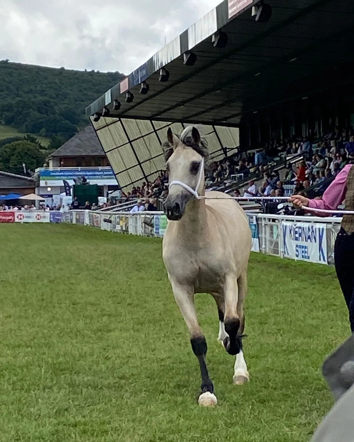 As the @greatyorkshireshow comes to a close, we are looking ahead to next week where we will be popping across the border to attend the @royal_welsh_show 

 📅20-21 July
📍Royal Welsh Showground

To stay up to date with where the team will be next ma