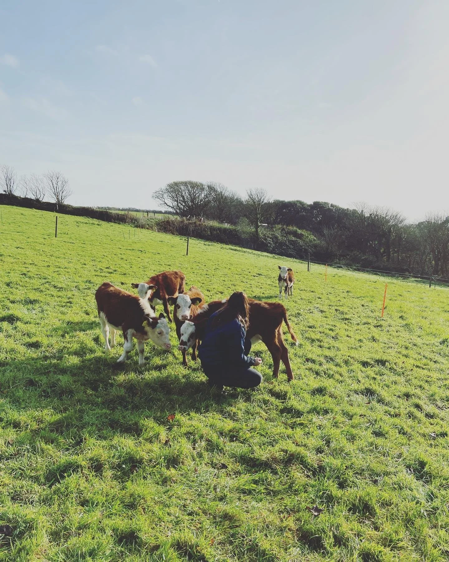 Say hello to Kian Hocking, another farmer that has benefited from one of our small grants from our New Entrant Scheme. 🧑&zwj;🌾&zwj;👋

"The Grant really allowed us to progress our business, probably 5 years ahead equipment wise of what we woul