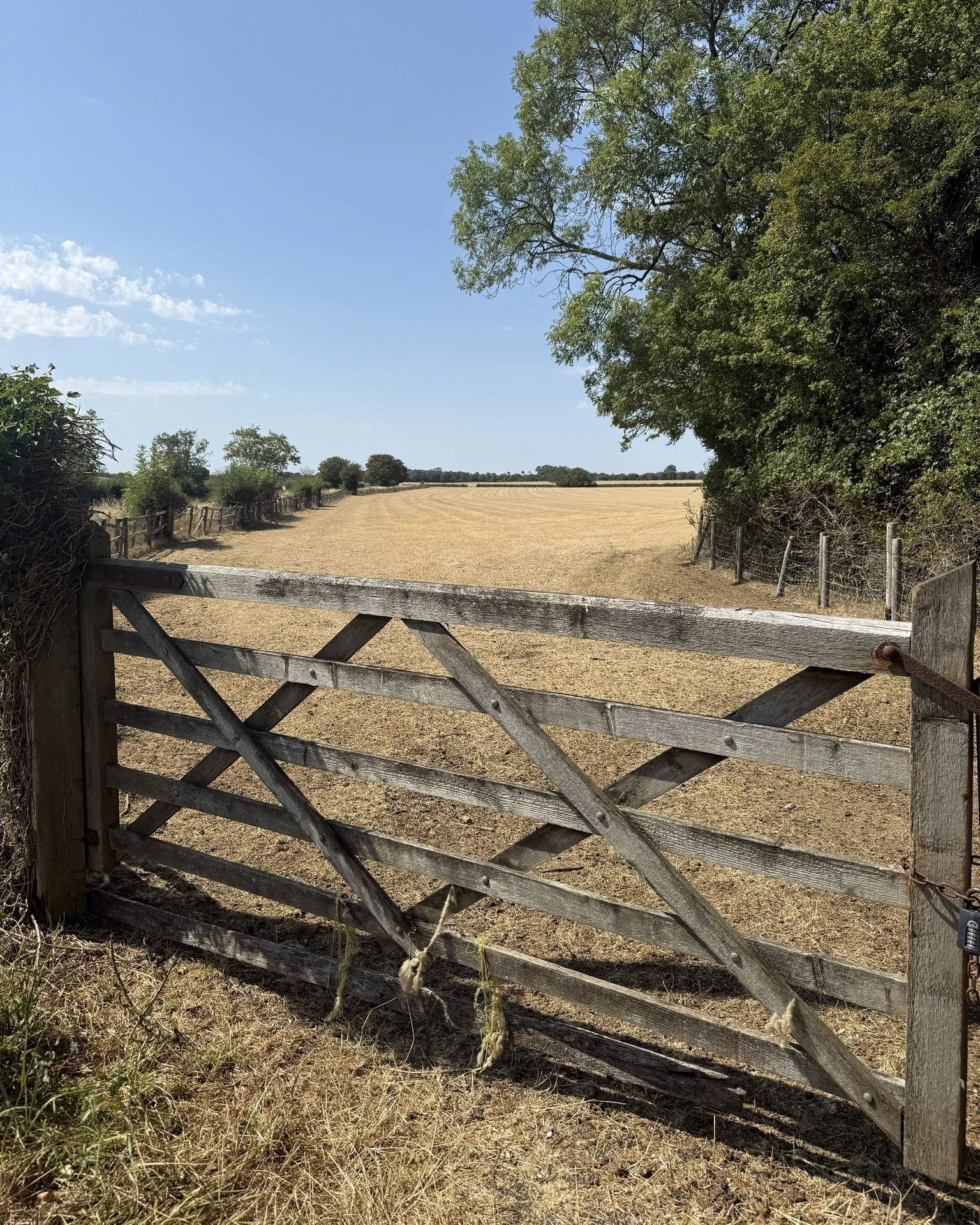 We know the current drought and Bluetongue outbreak are putting extra pressure on farming families across England and Wales. 🧡

If you&rsquo;re struggling with the cost of feeding livestock, our Forage Aid Scheme may be able to help with a one-off g