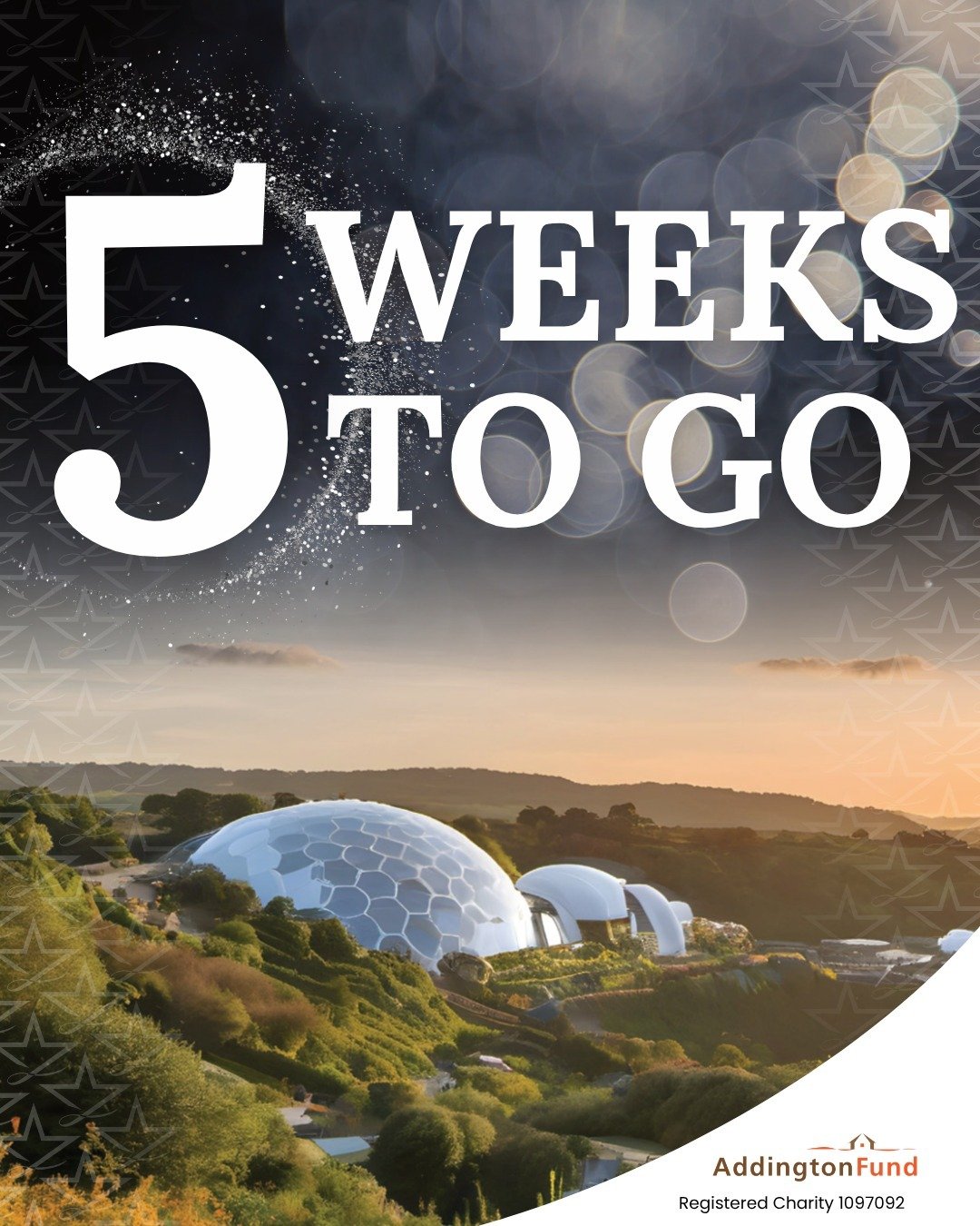 Only 5 weeks to go until our Cornwall Celebration Dinner✨

Guests will enjoy a drinks reception, a three-course dinner and an inspiring programme featuring stories from those whose lives have been touched by Addington Fund's support. 

📅Thursday 8th
