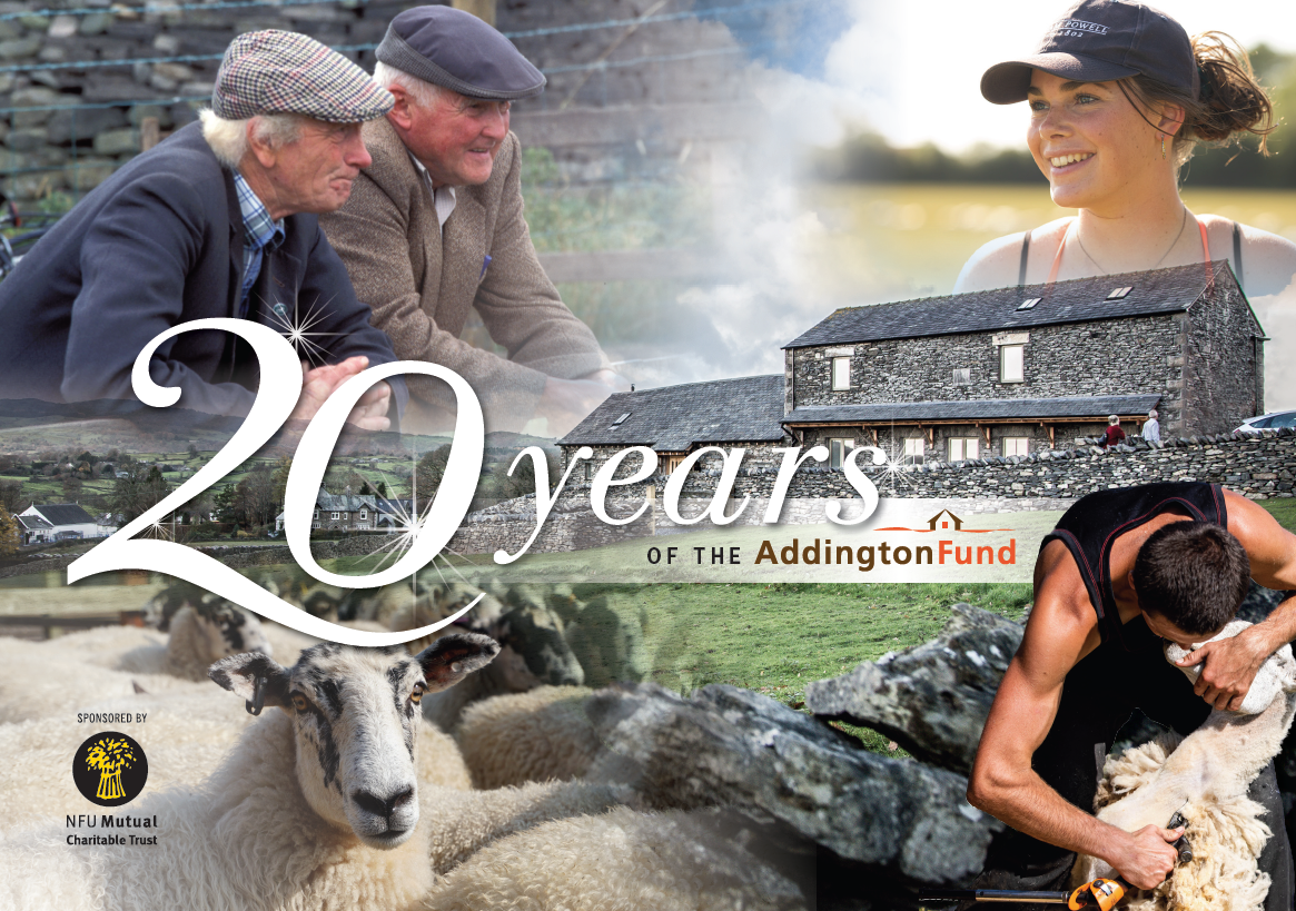 Download our 20 Year Anniversary brochure
