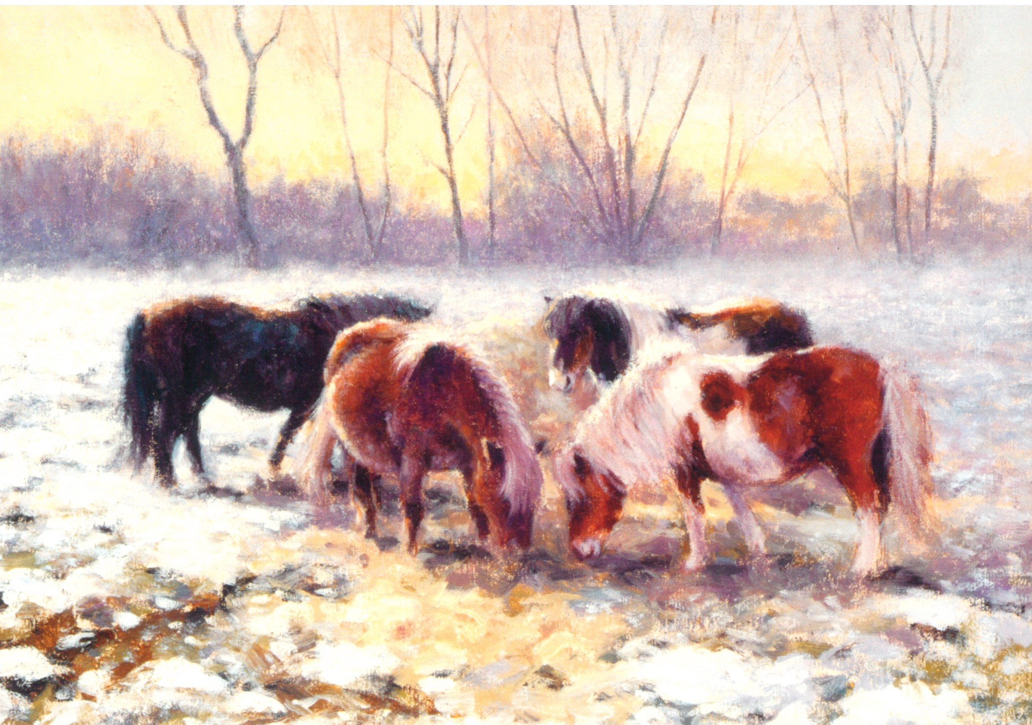 Shetlands in the Snow (pack of 6)