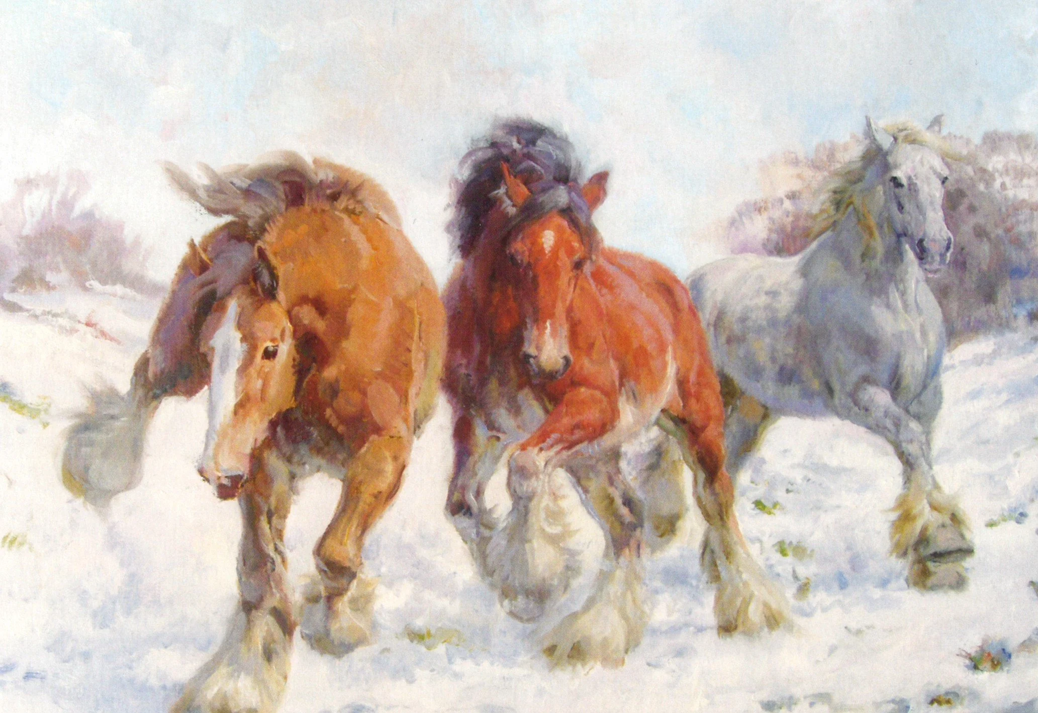 Winter Frolics (pack of 6)