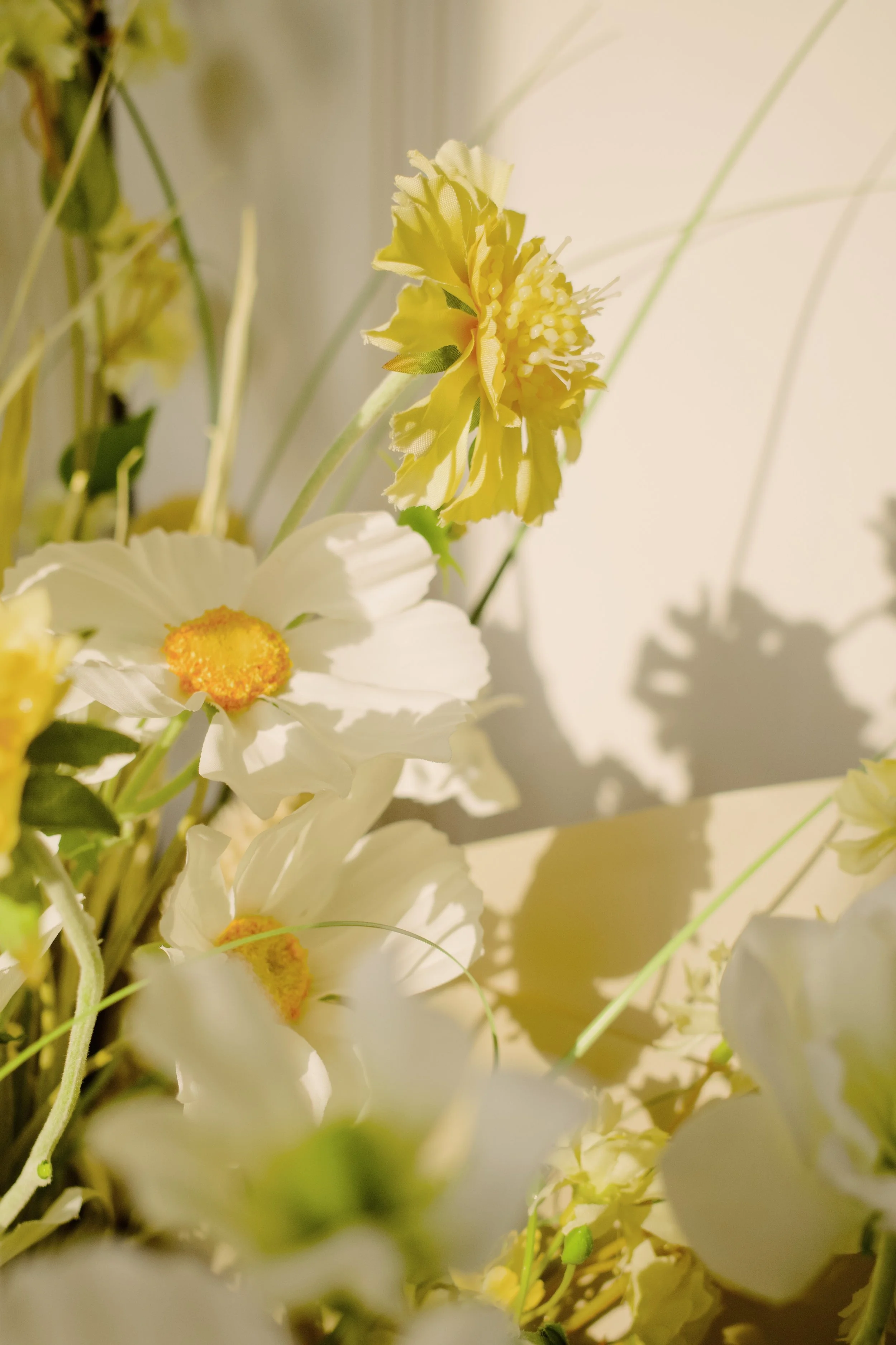 310B7D7F-543A-4103-BD9E-A0D25601CEAC.jpeg (Copy)