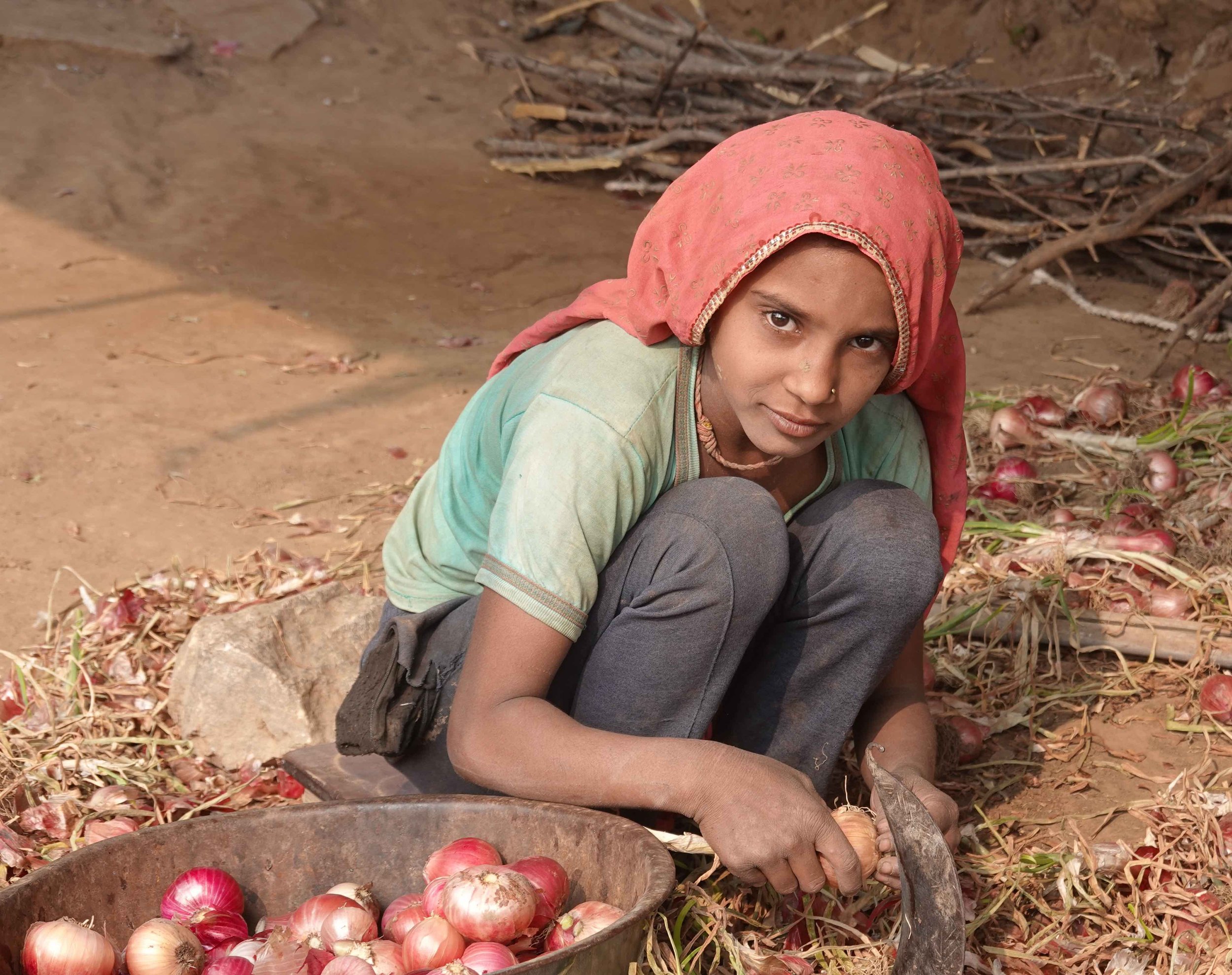 What’s in the Price of an Onion?