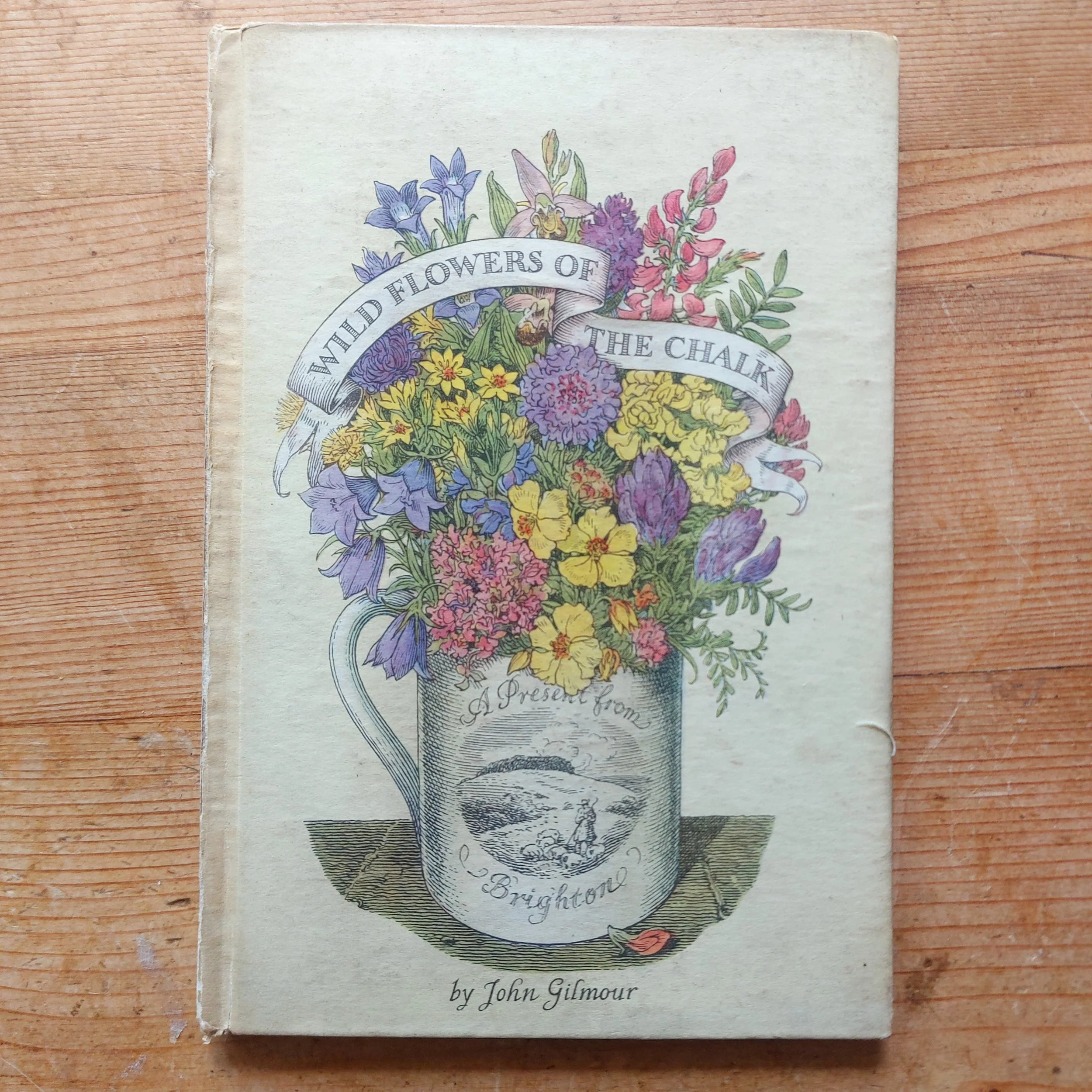 Wild Flowers of the Chalk