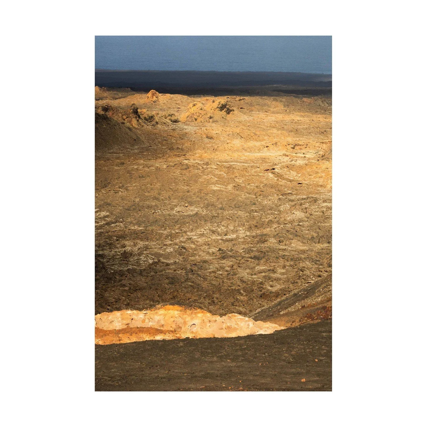 🎨 The Magic of Blue and Orange 🎨
There&rsquo;s something undeniably pleasing about the combination of blue and orange in nature. It&rsquo;s a balance of opposites&mdash;cool and warm, calm and energetic&mdash;that draws the eye and feels harmonious