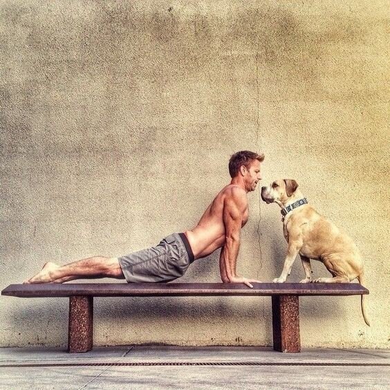 men and yoga flexibility.jpg