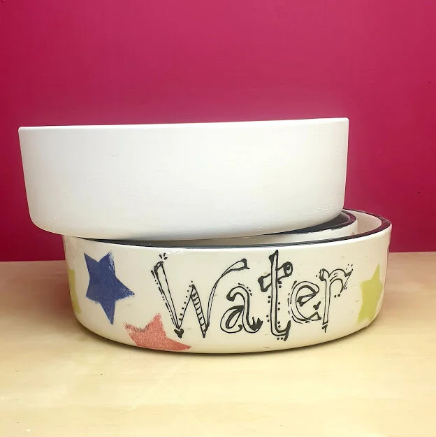 Flat Bottom Pet Dish.jpg