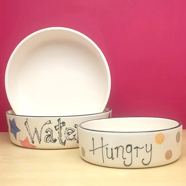 Pet Dishes.jpg