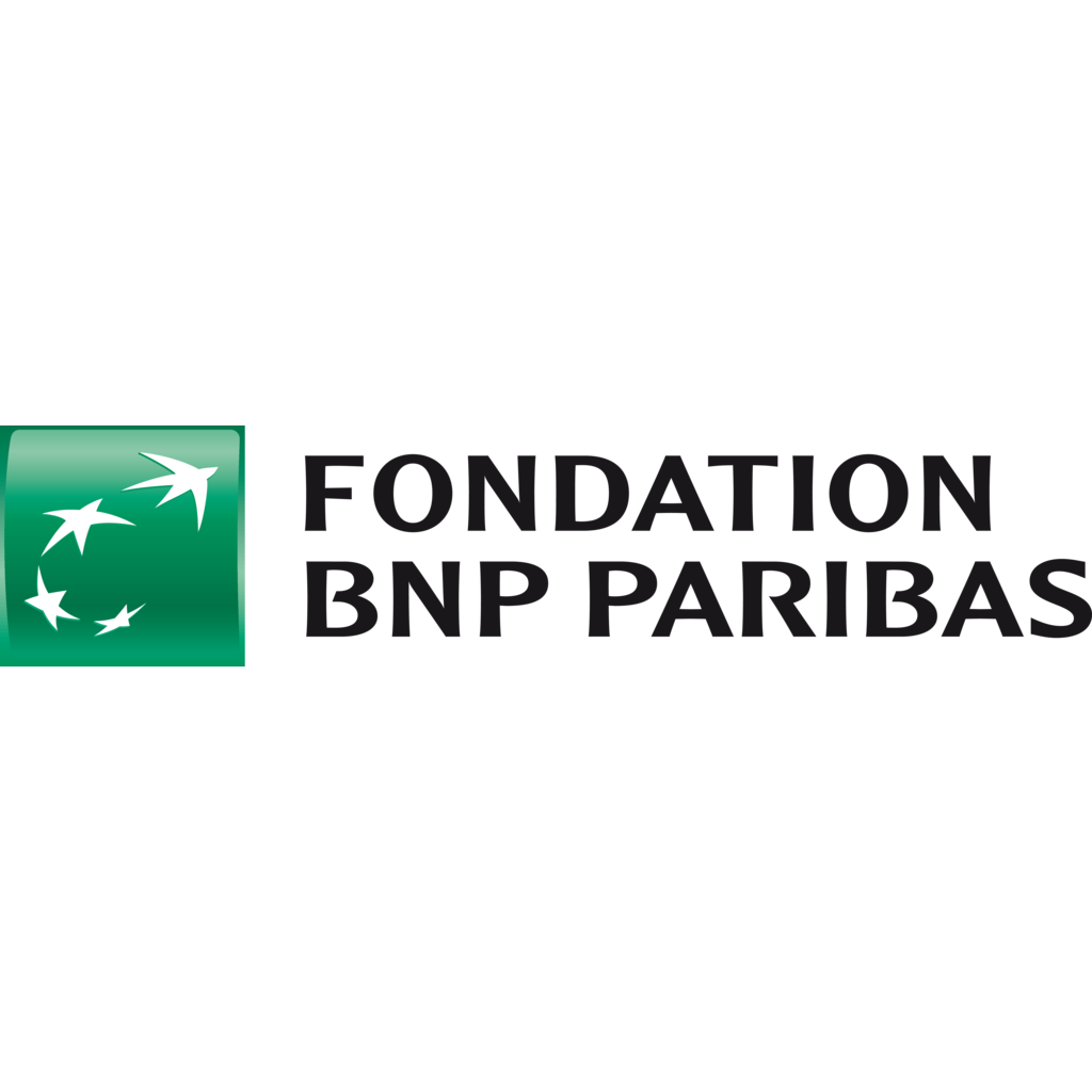 preview-bnp_paribas_fondation_logo.png