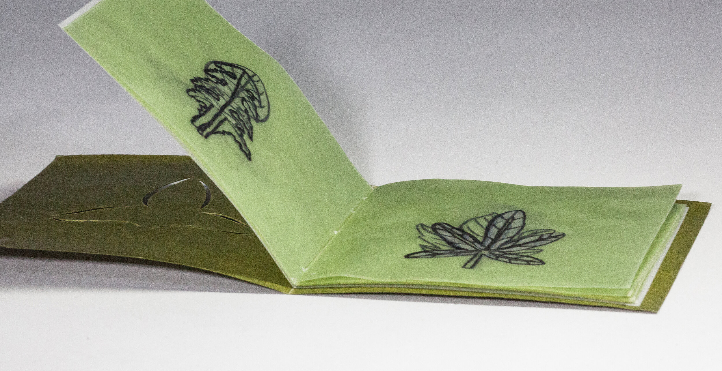 2013 Users Manual (white), Text Book (green) Unique series of 2 sets of 5 books each Graphite, ink, gouache, beeswax on tracing paper and vellum 4 x 5"