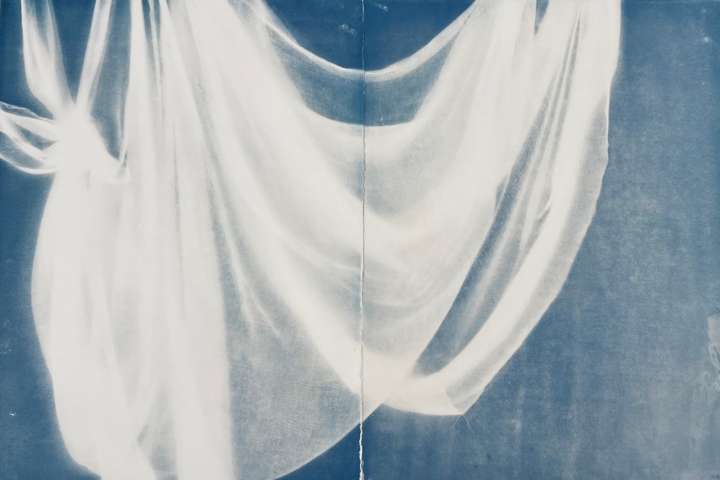  2022 Cyanotype on Fabriano 30 x 44 in (76 x 112 cm) 