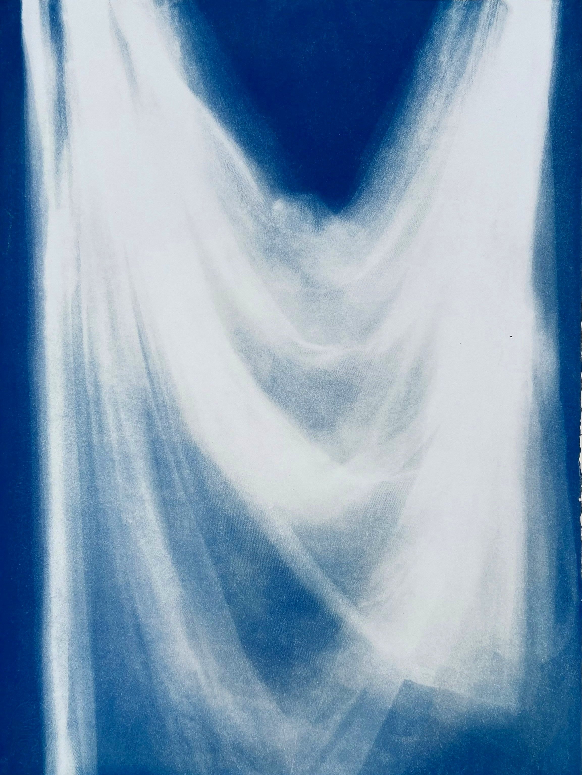  2022 Cyanotype on Fabriano 22 x 30 in (56 x 76 cm) 