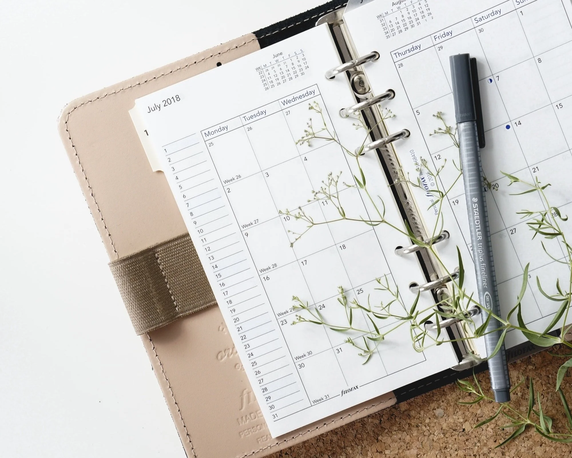Cyclical Goal Planner