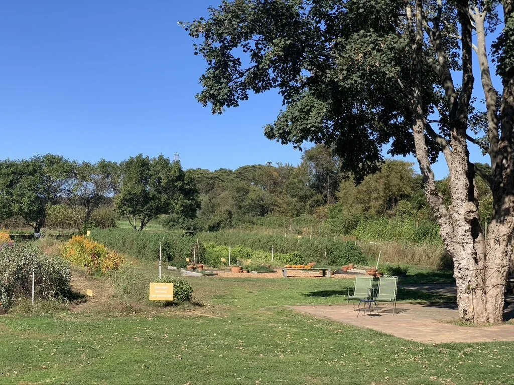 Or grab a chair overlooking the farm.