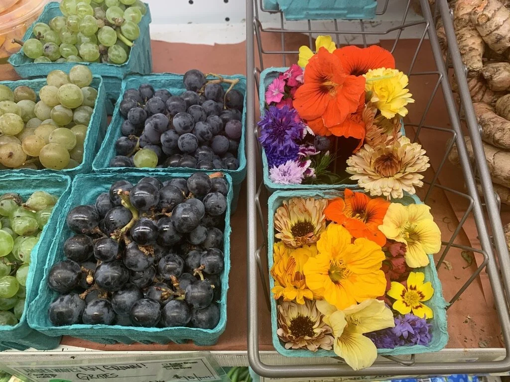 Admire their lovely displays.