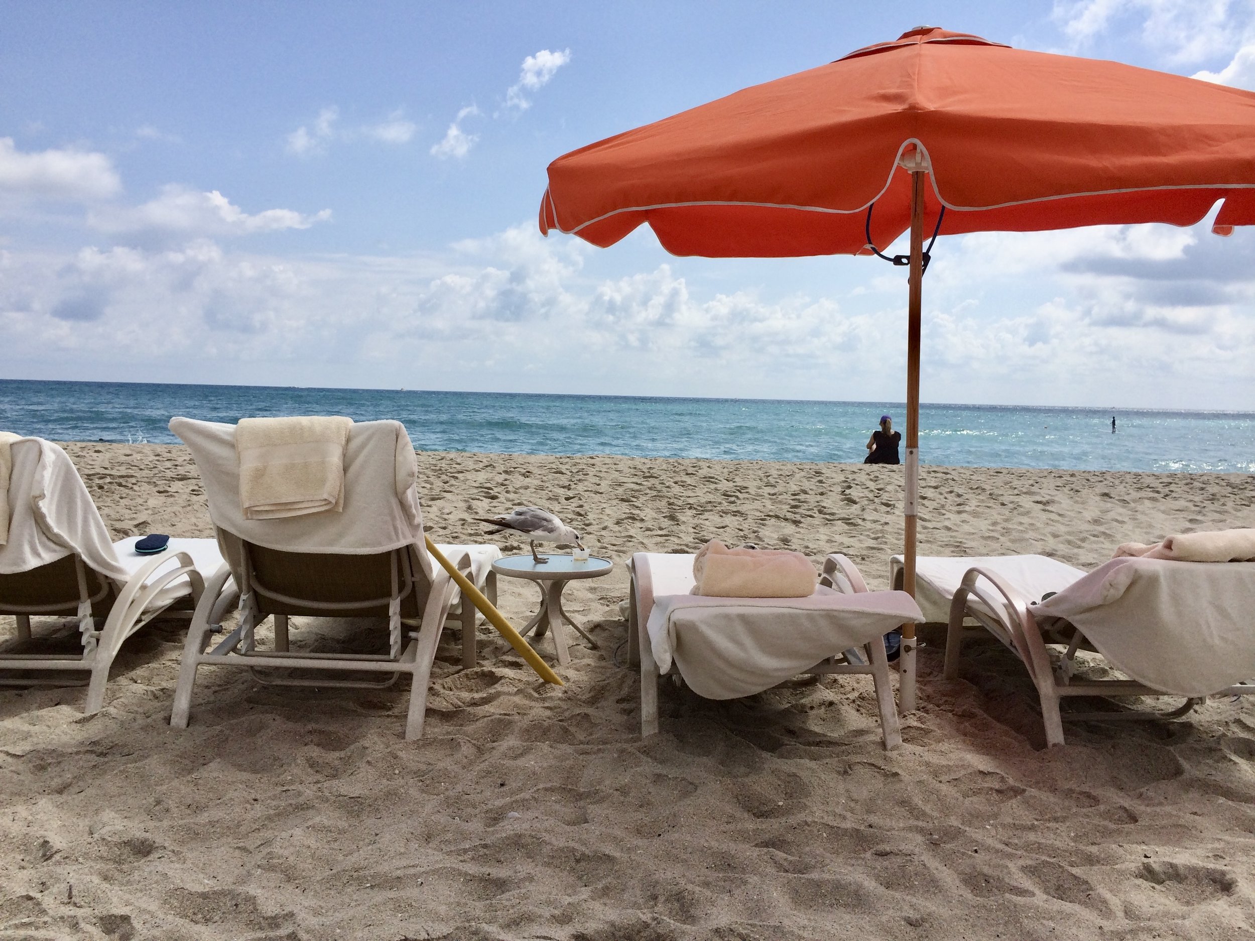 Lounge charis provided by the Four Seasons on the beach at the resort