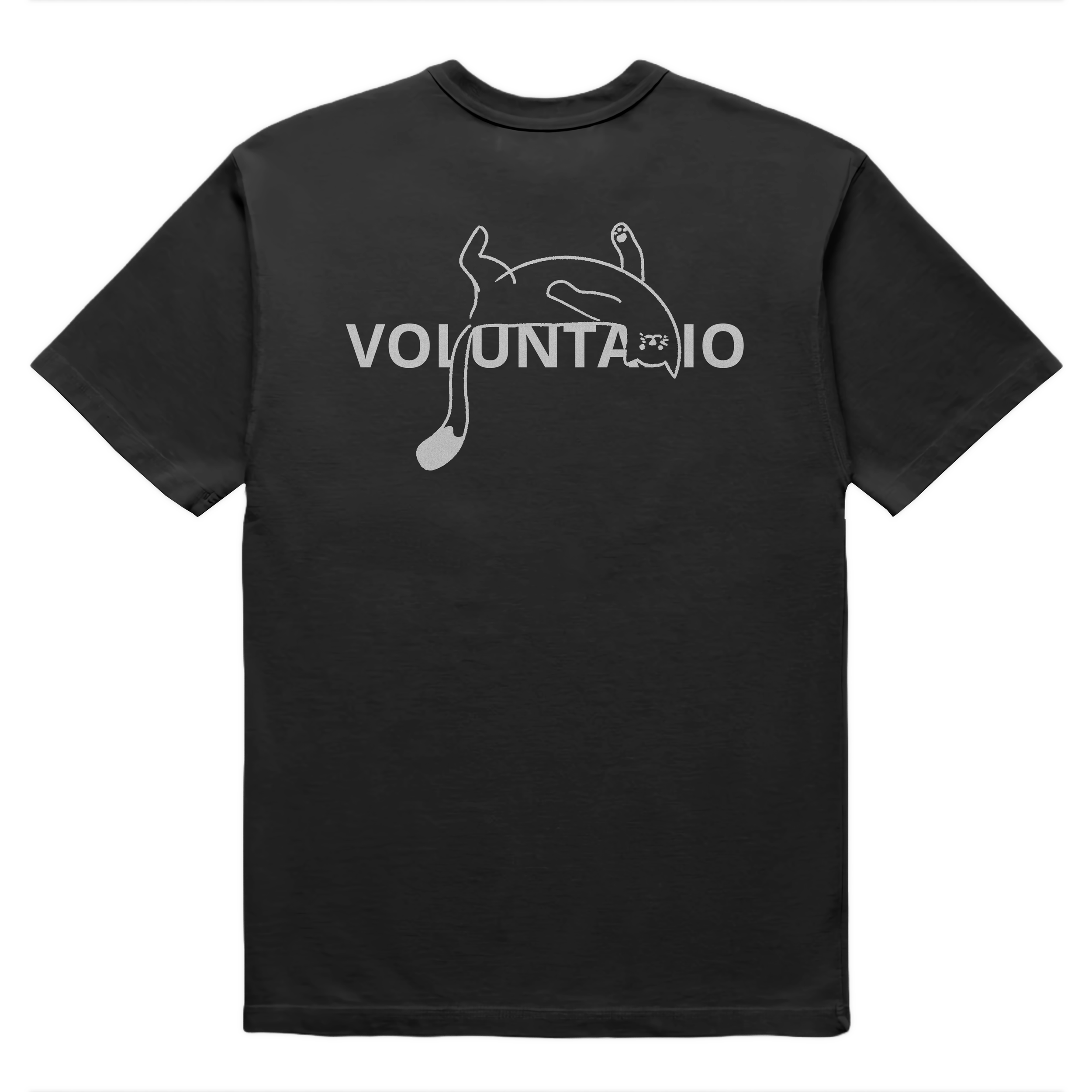 VOLUNTARIO BACK.png