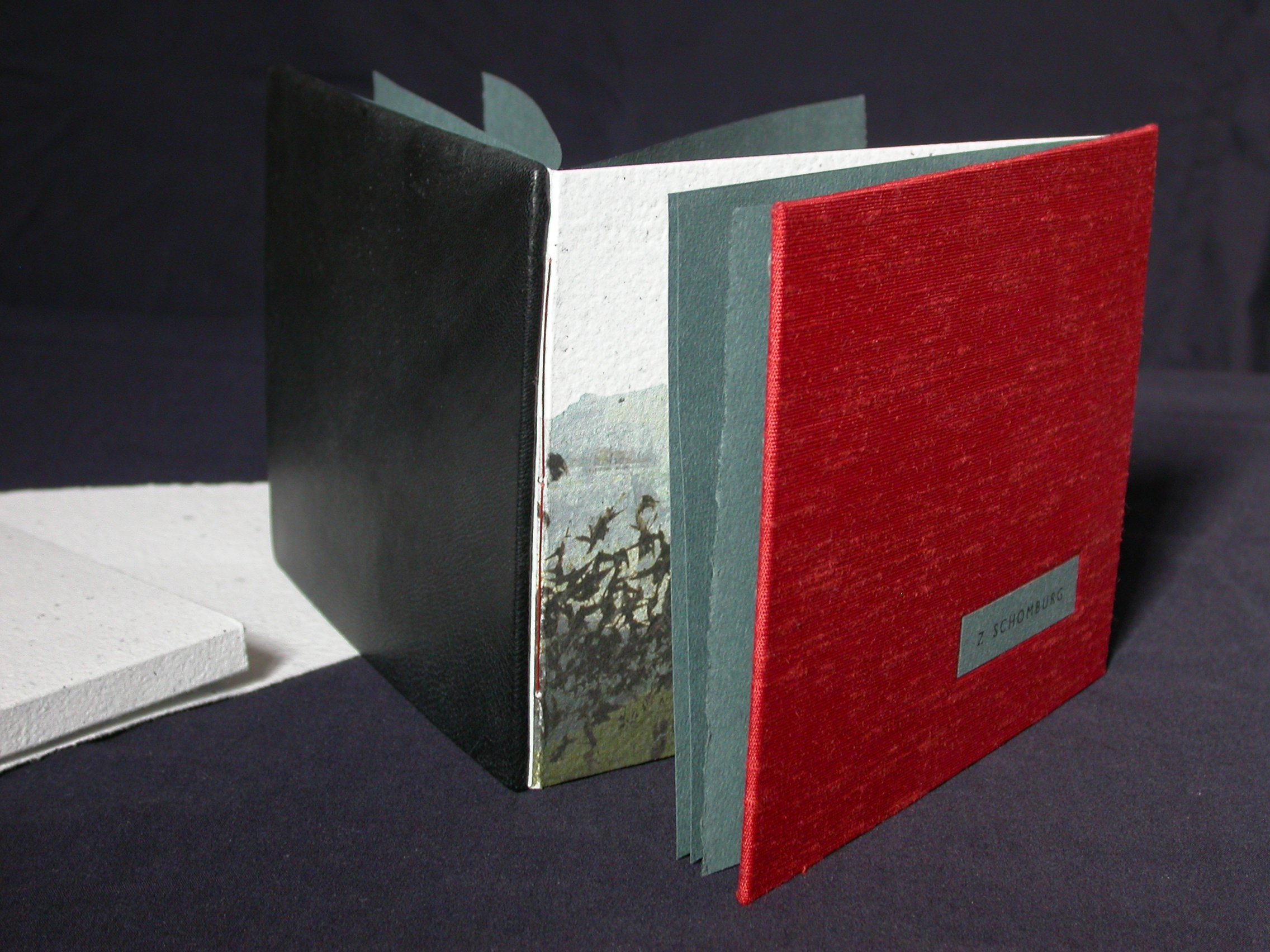 Schomburg, No Center Line Exists (dos-a-dos)