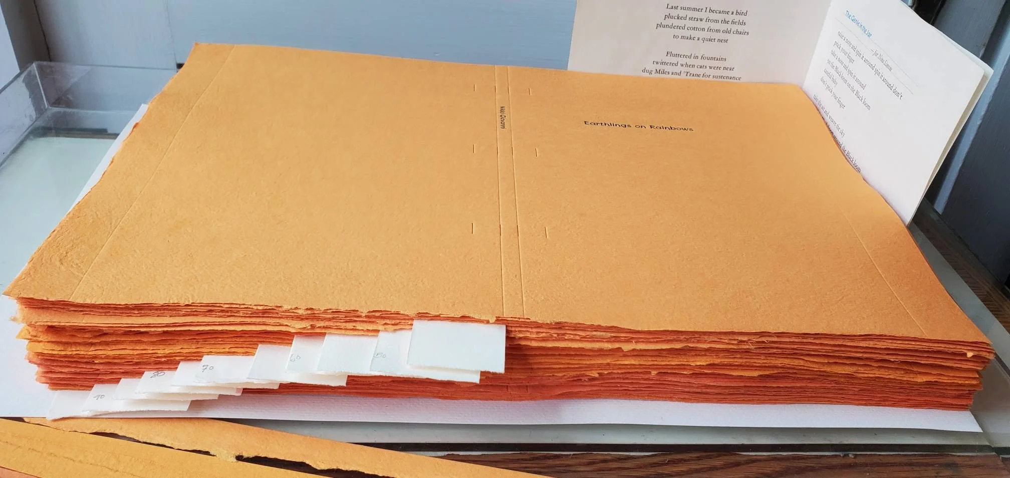 covers printed scored cut.jpg