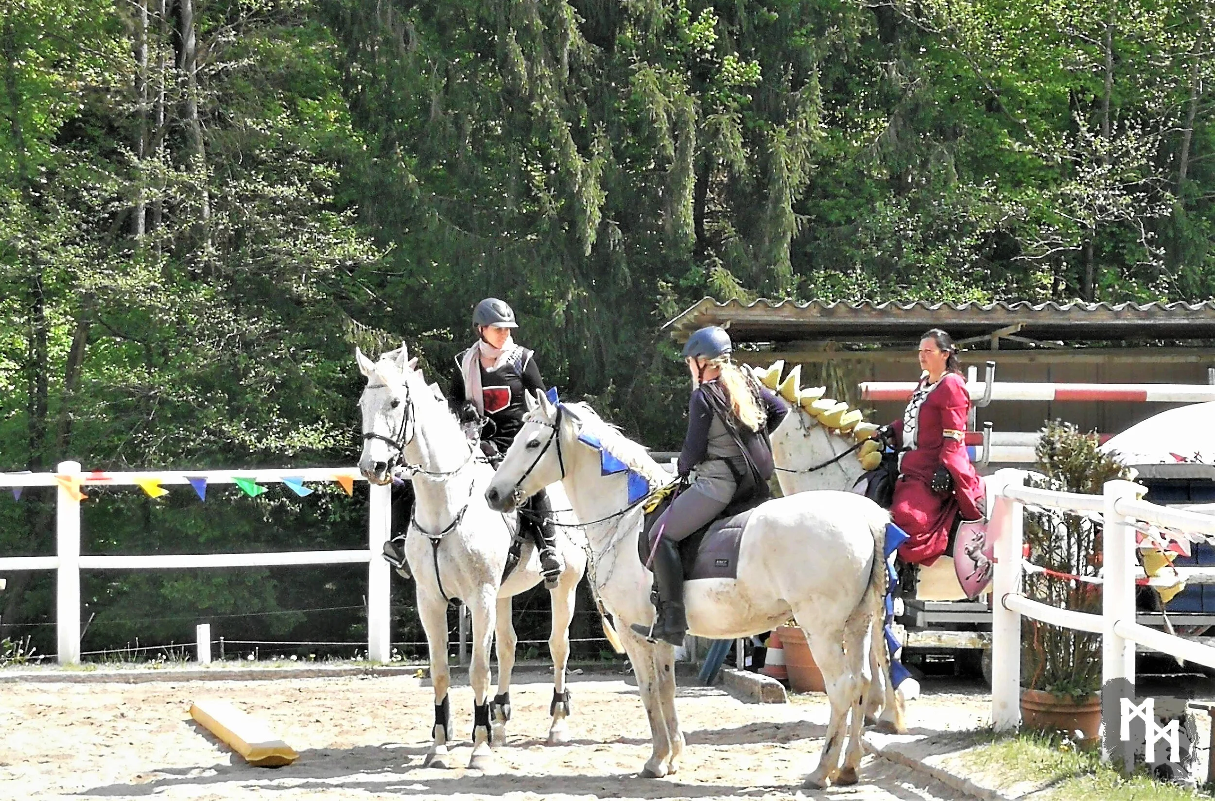Reiterhof Pichler 2019 (AT)