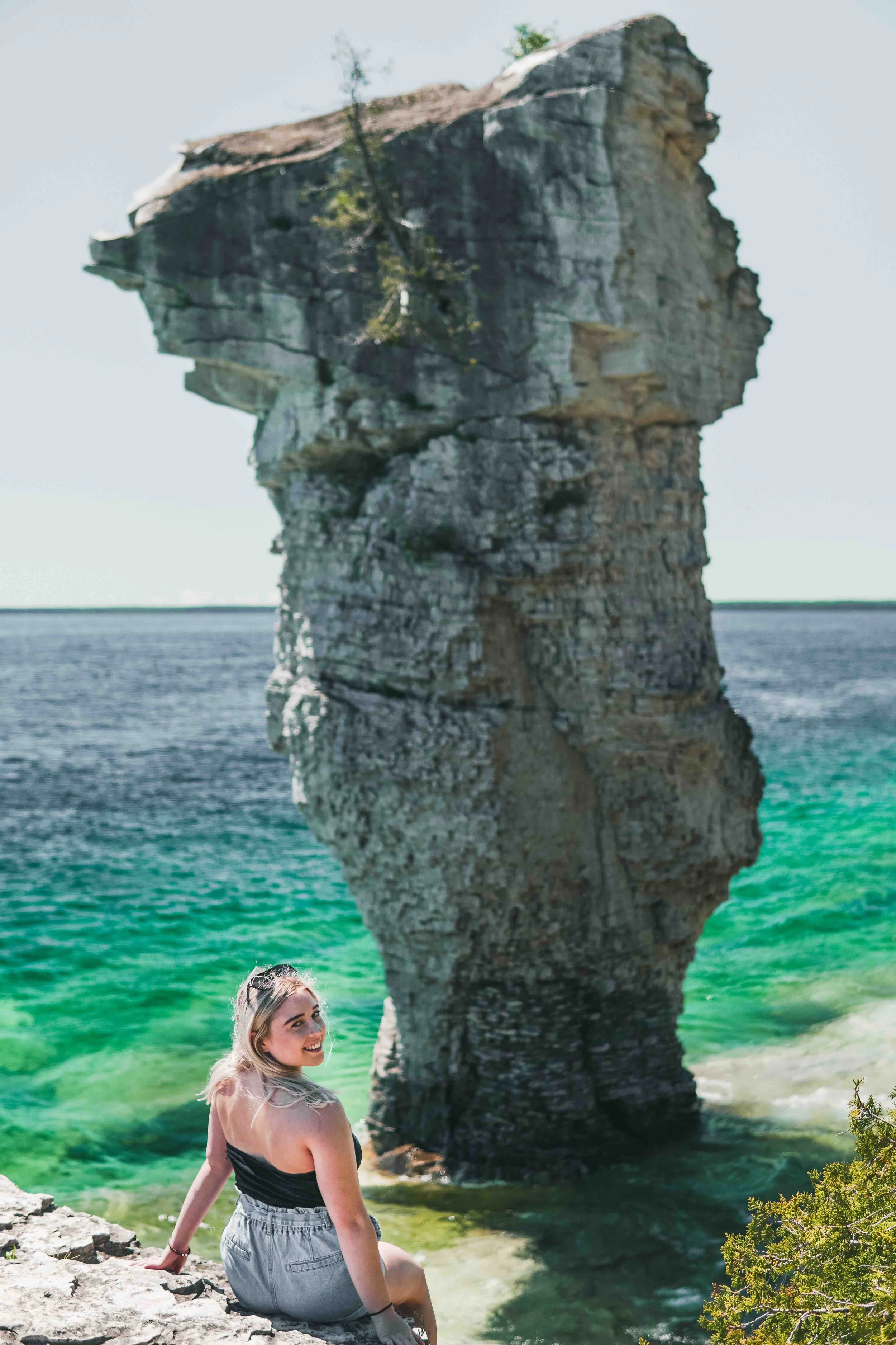 What Is Mitm Attack Flower Pot Island vrogue.co