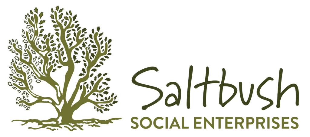 Saltbush Social Enterprises - Creative Pitches