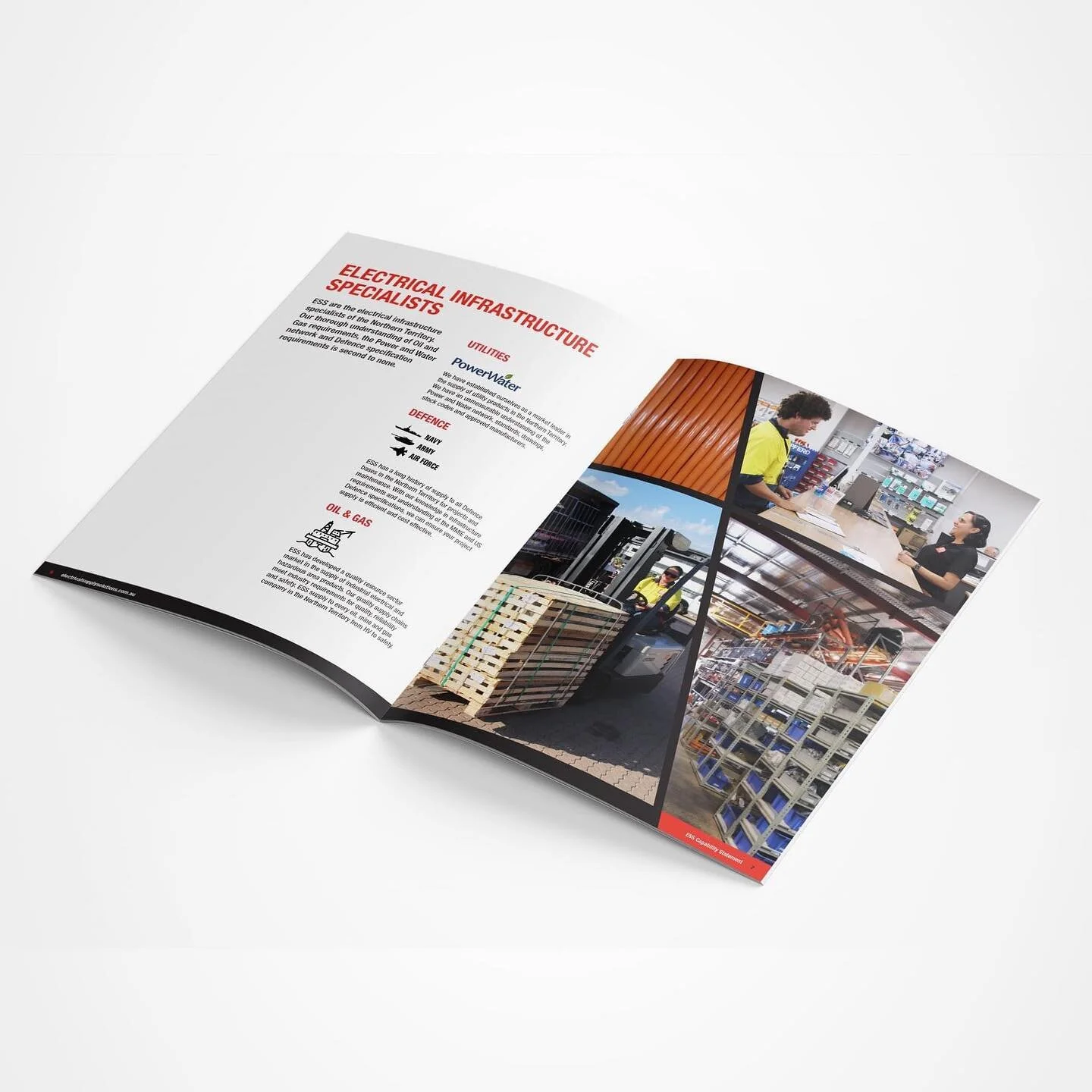 ESS Capability Statement infrastructure specialists