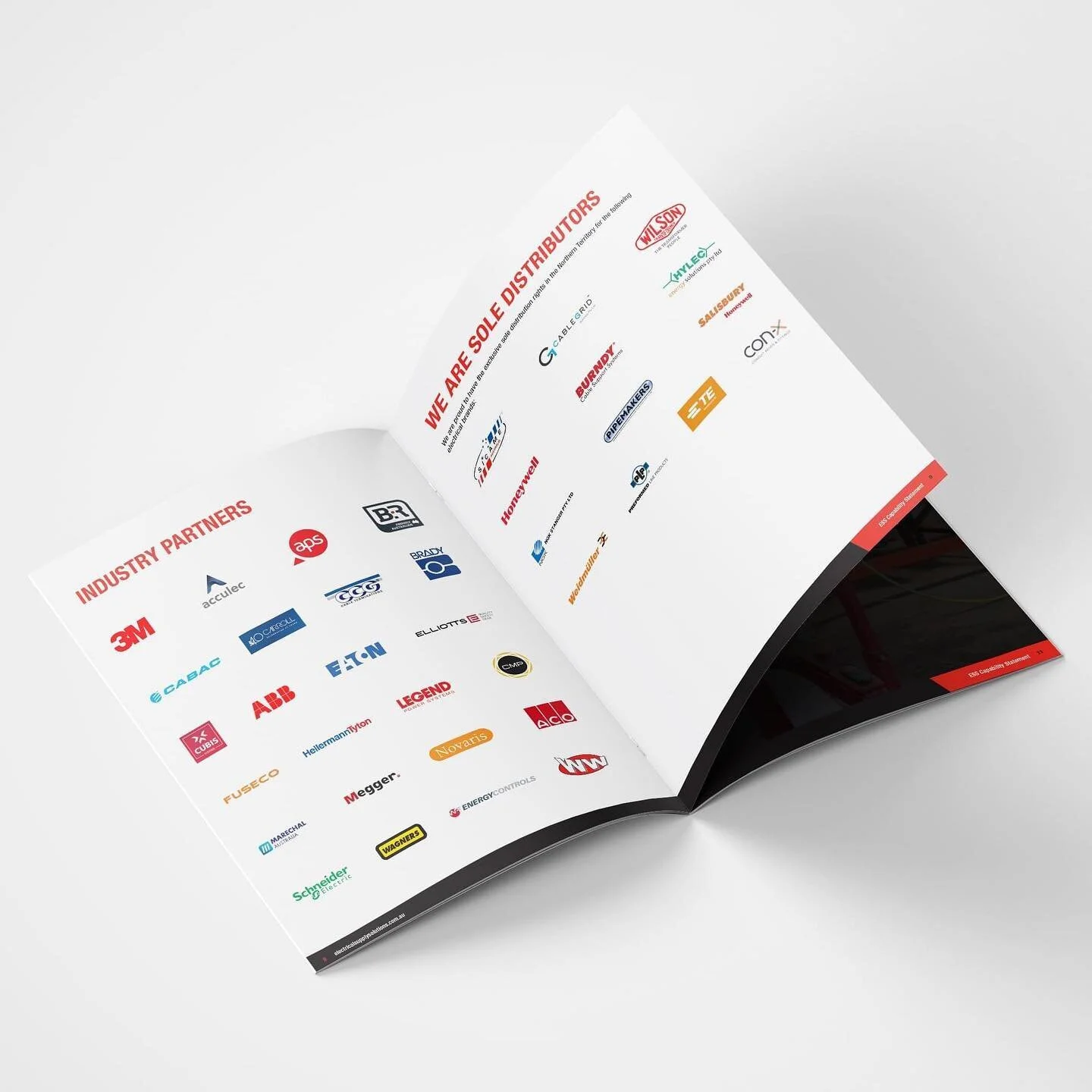 ESS Capability Statement logo supplies pages