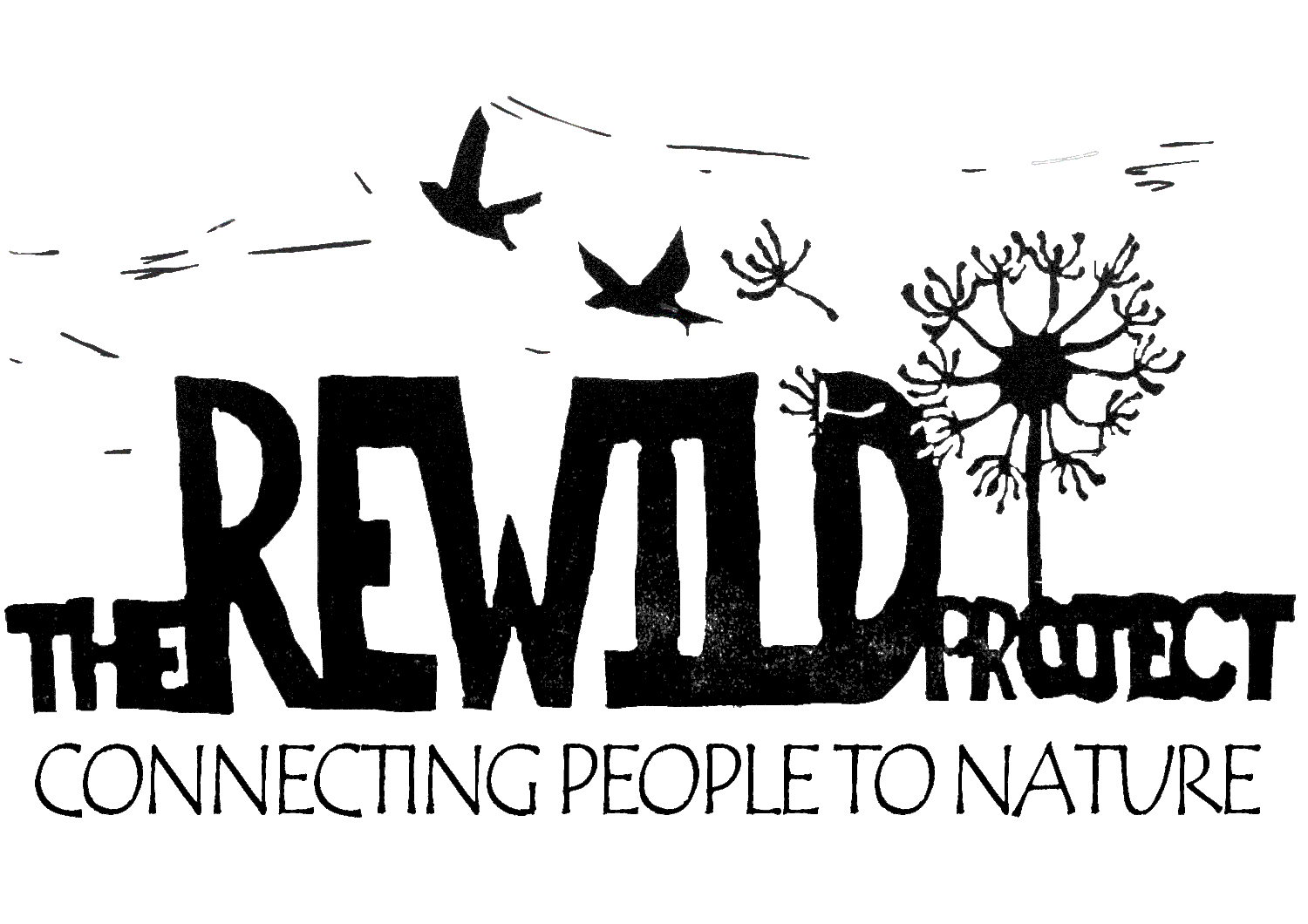 The Rewild Project Nichola Goff