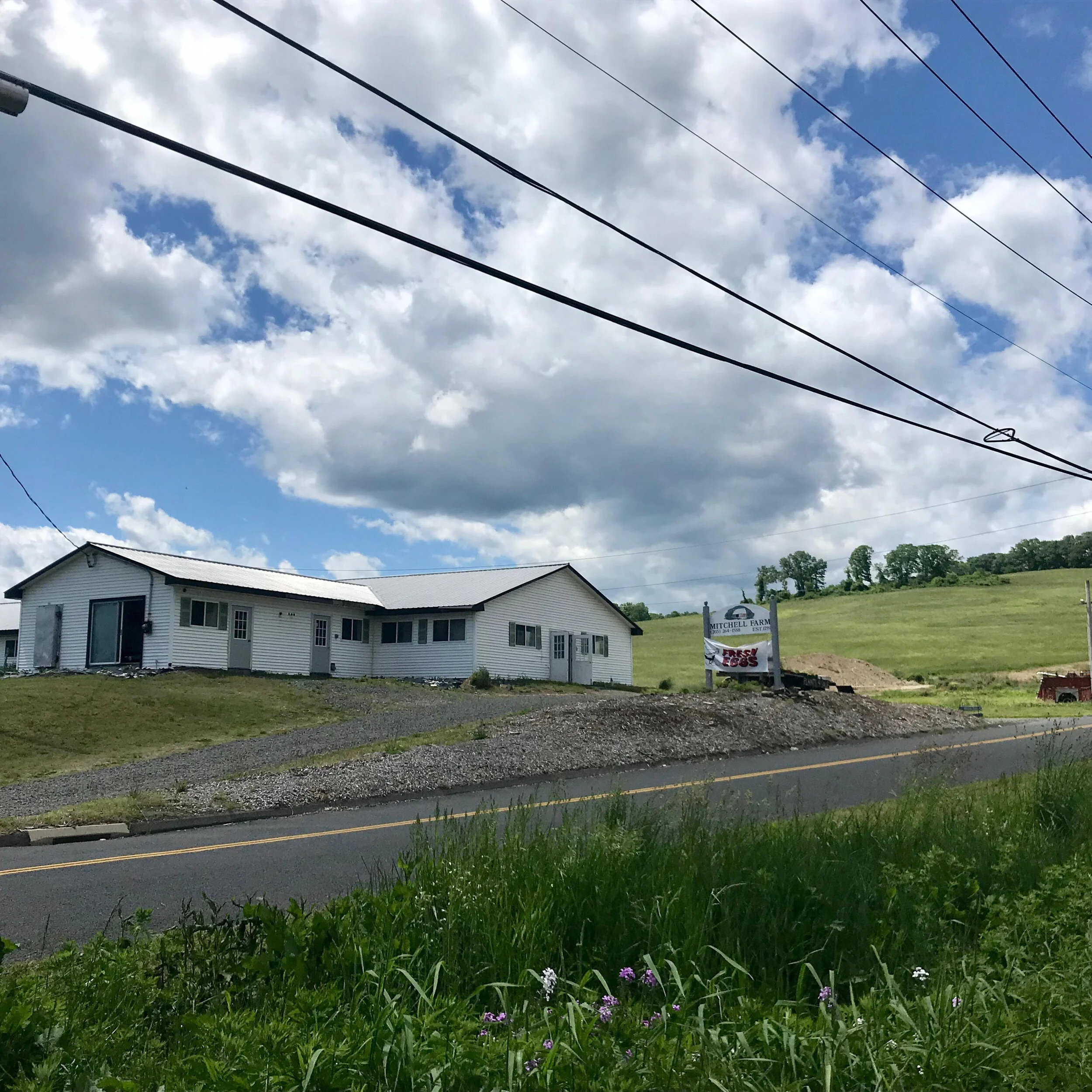 Mitchell Farm Southbury, CT