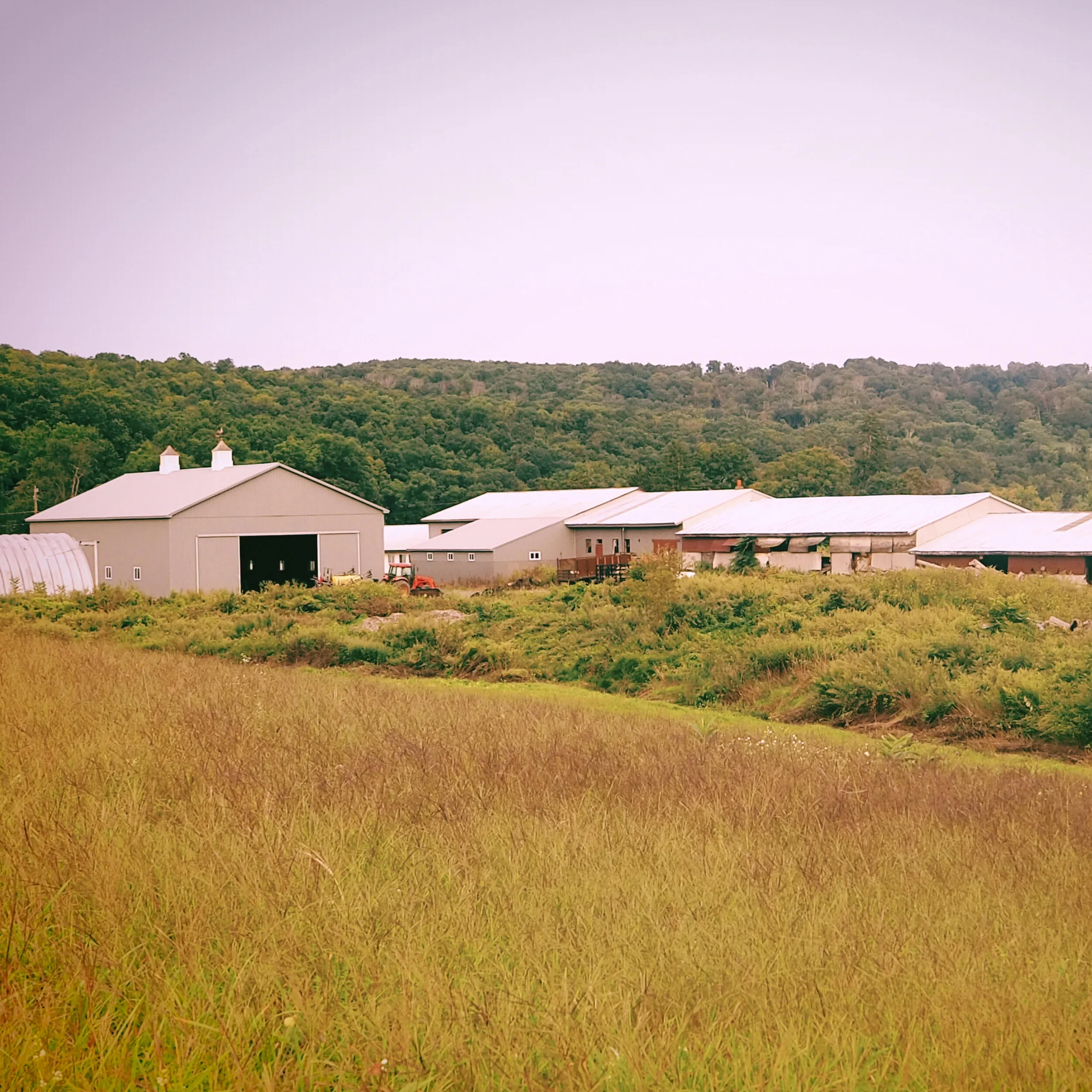 Mitchell Farm Southbury, CT