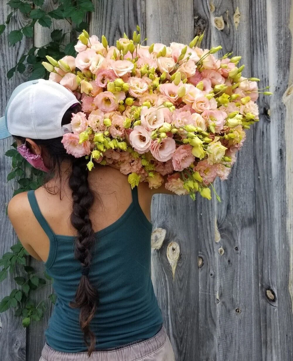 Lisianthus Flower Essence