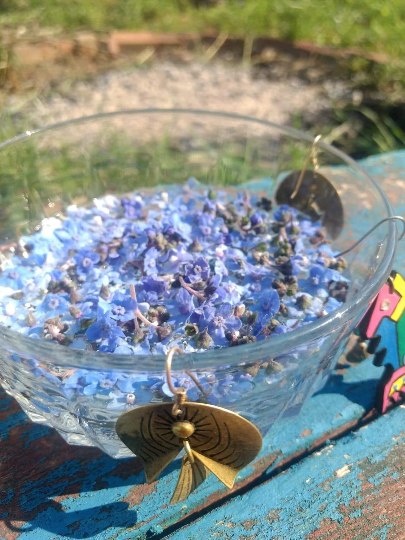 Chinese Forget Me Not Flower Essence