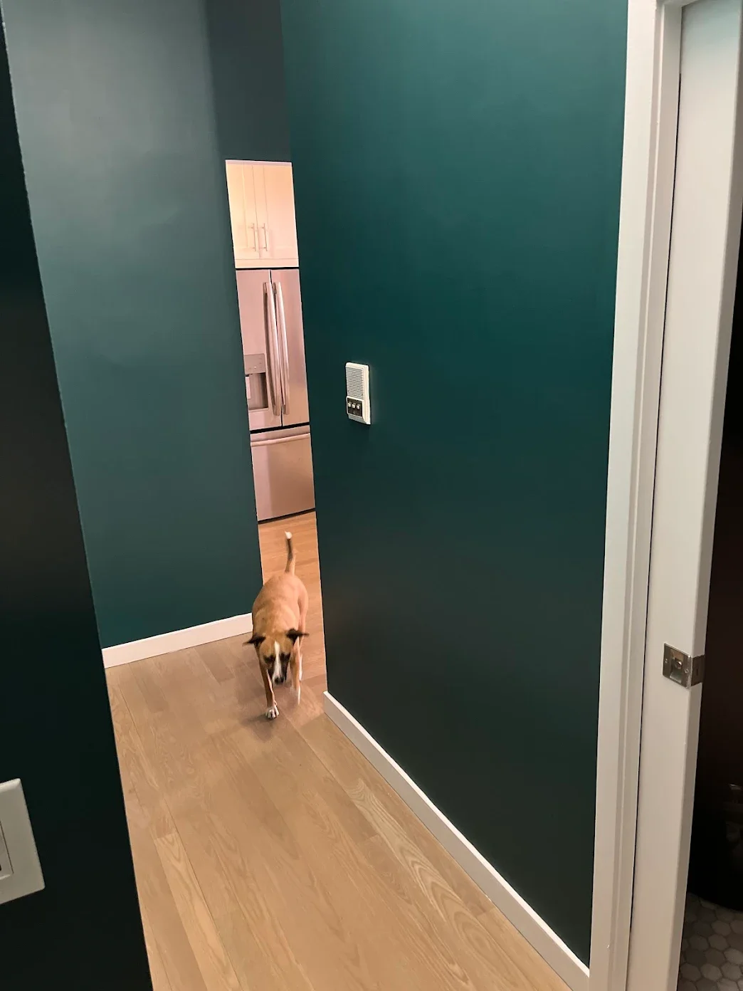 hallway trim painting Brooklyn apartment painter