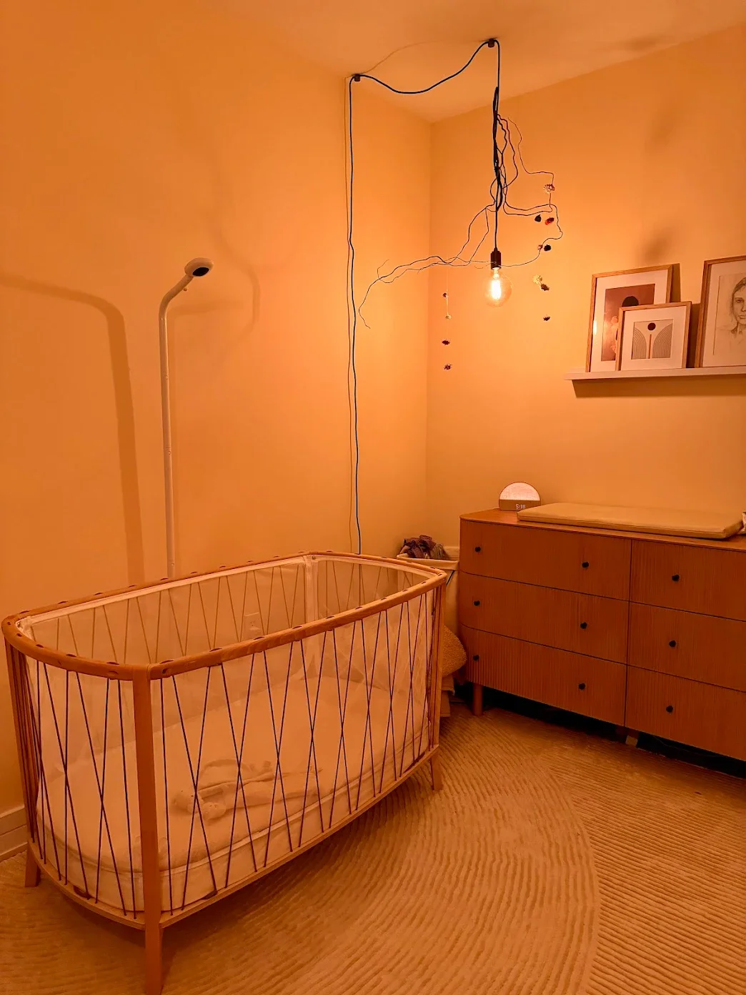 Green City Painters professional painters Brooklyn