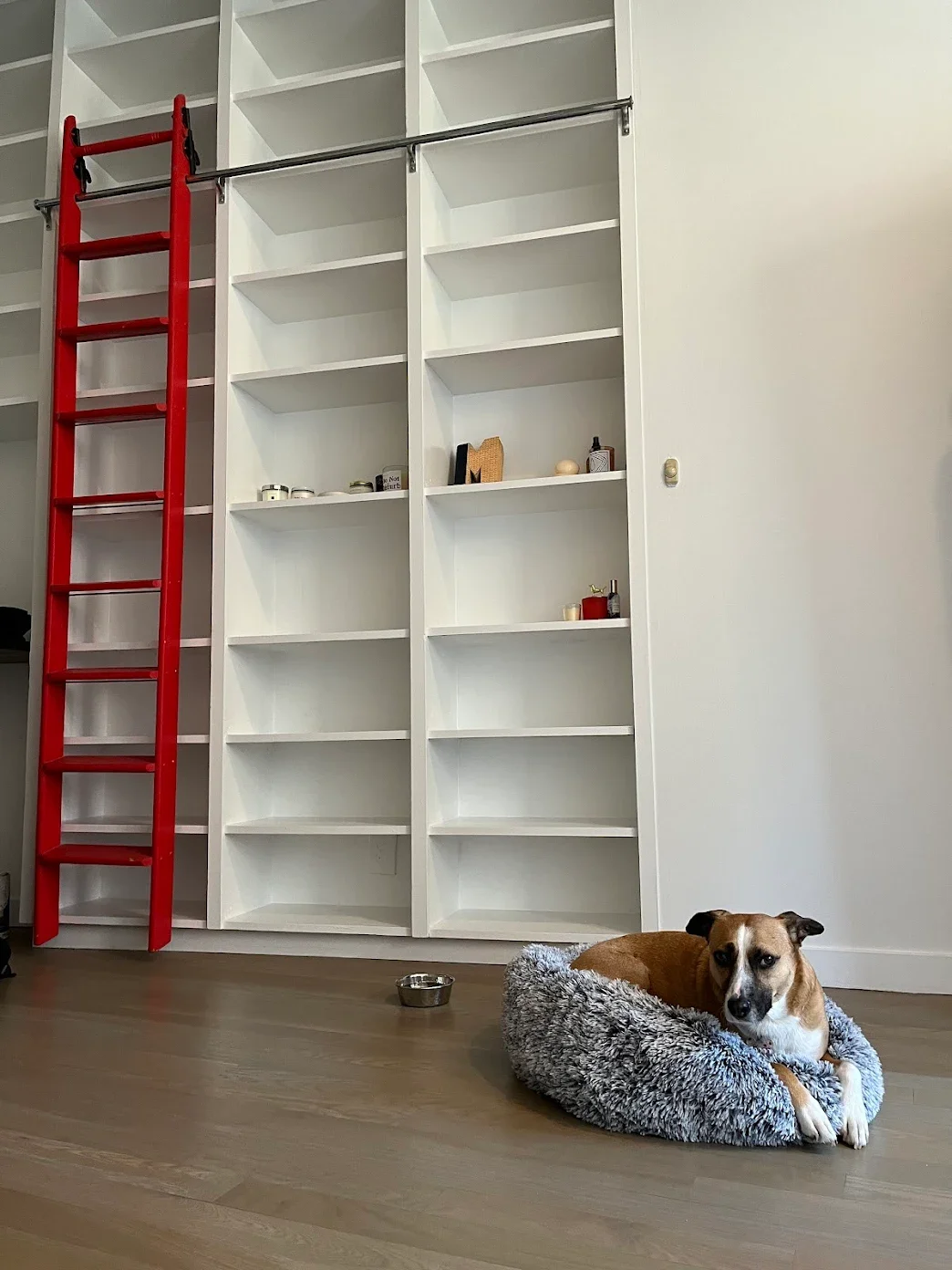 Living Room  Shelves Non Toxic Paint Brooklyn